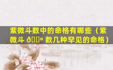 紫微斗数中的命格有哪些（紫微斗 🌺 数几种罕见的命格）